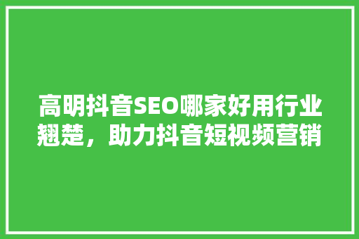 高明抖音SEO哪家好用行业翘楚，助力抖音短视频营销