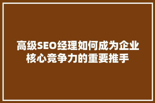 高级SEO经理如何成为企业核心竞争力的重要推手