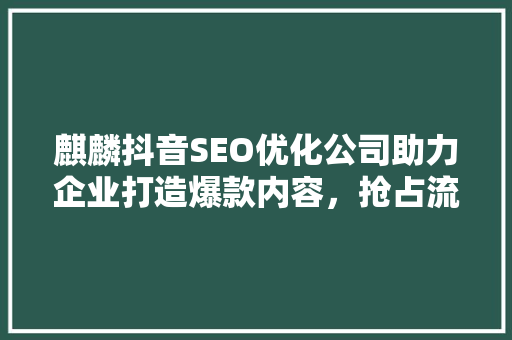 麒麟抖音SEO优化公司助力企业打造爆款内容，抢占流量红利