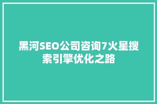 黑河SEO公司咨询7火星搜索引擎优化之路