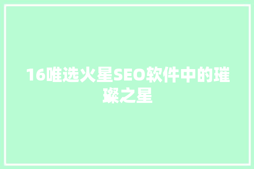 16唯选火星SEO软件中的璀璨之星