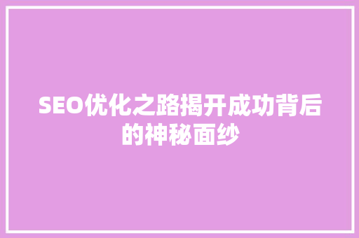 SEO优化之路揭开成功背后的神秘面纱
