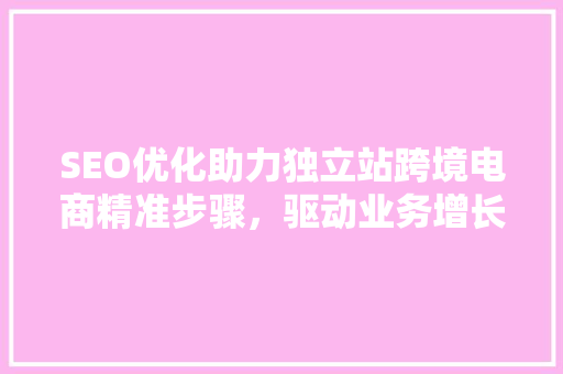 SEO优化助力独立站跨境电商精准步骤，驱动业务增长