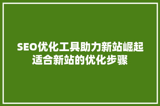SEO优化工具助力新站崛起适合新站的优化步骤
