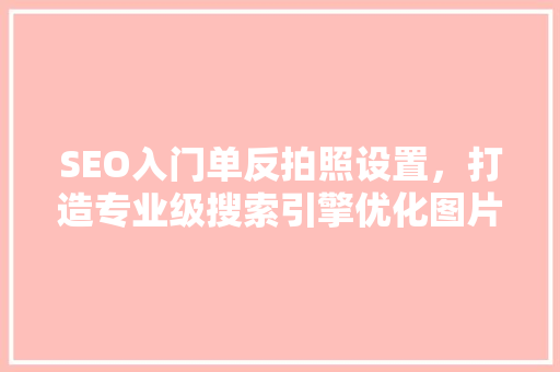 SEO入门单反拍照设置，打造专业级搜索引擎优化图片  第1张