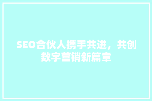 SEO合伙人携手共进，共创数字营销新篇章