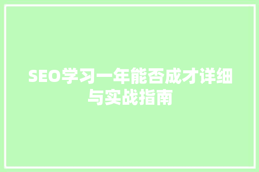 SEO学习一年能否成才详细与实战指南