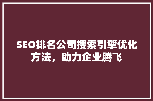 SEO排名公司搜索引擎优化方法，助力企业腾飞