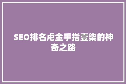 SEO排名虍金手指壹柒的神奇之路