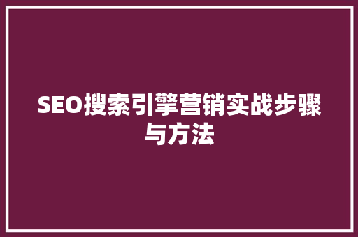 SEO搜索引擎营销实战步骤与方法