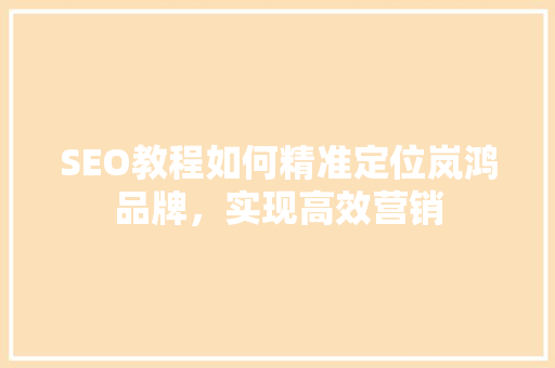 SEO教程如何精准定位岚鸿品牌，实现高效营销