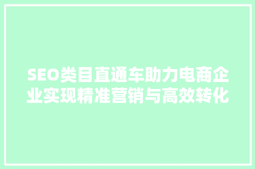SEO类目直通车助力电商企业实现精准营销与高效转化  第1张