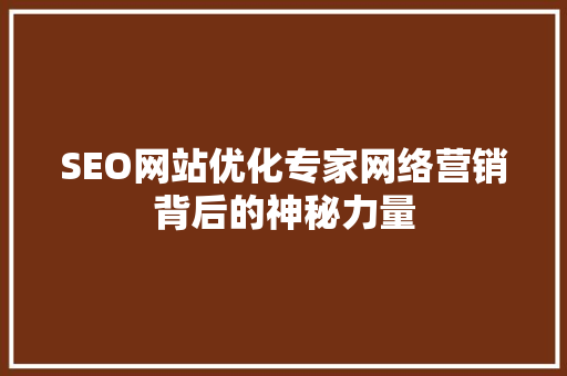 SEO网站优化专家网络营销背后的神秘力量