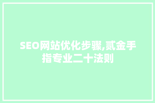 SEO网站优化步骤,贰金手指专业二十法则