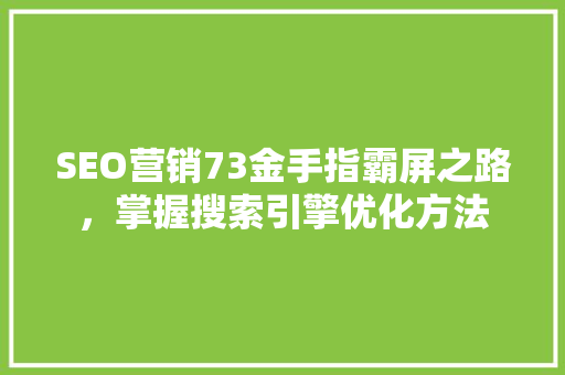 SEO营销73金手指霸屏之路，掌握搜索引擎优化方法