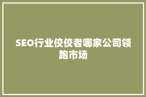 SEO行业佼佼者哪家公司领跑市场