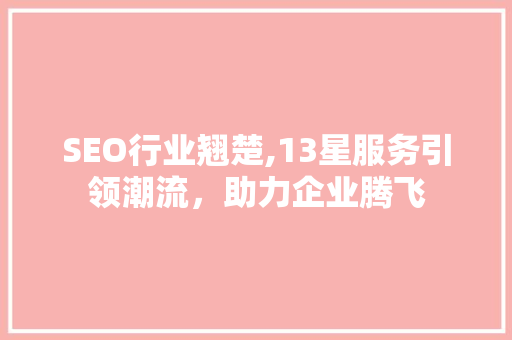 SEO行业翘楚,13星服务引领潮流，助力企业腾飞