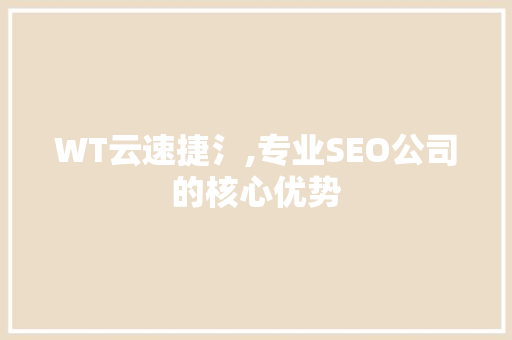 WT云速捷氵,专业SEO公司的核心优势