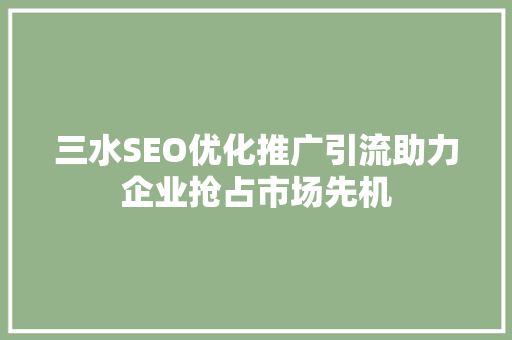 三水SEO优化推广引流助力企业抢占市场先机