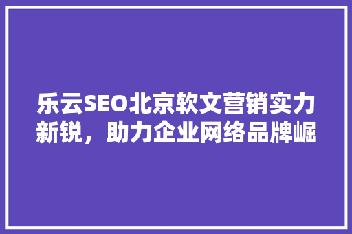 乐云SEO北京软文营销实力新锐，助力企业网络品牌崛起