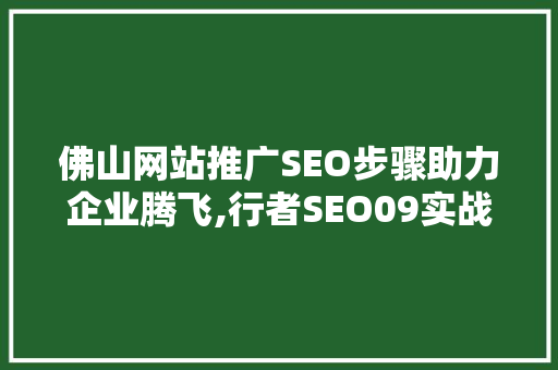 佛山网站推广SEO步骤助力企业腾飞,行者SEO09实战分享