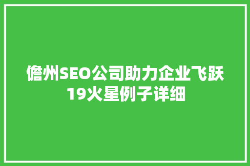 儋州SEO公司助力企业飞跃19火星例子详细