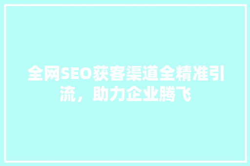 全网SEO获客渠道全精准引流，助力企业腾飞