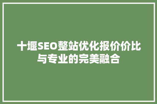 十堰SEO整站优化报价价比与专业的完美融合  第1张