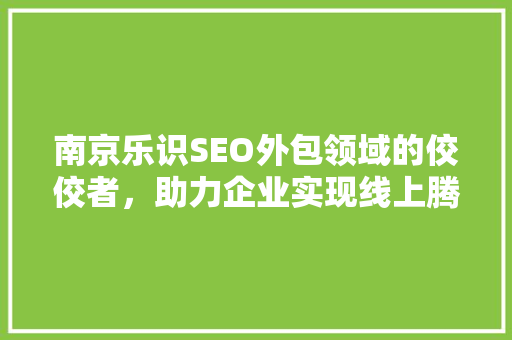 南京乐识SEO外包领域的佼佼者，助力企业实现线上腾飞
