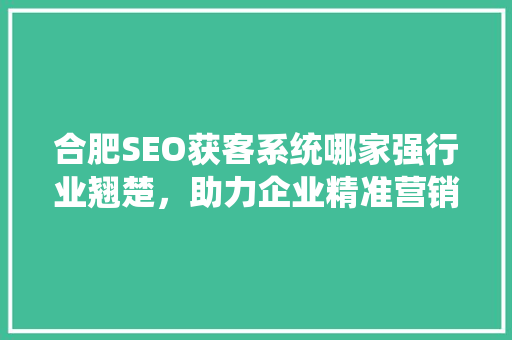 合肥SEO获客系统哪家强行业翘楚，助力企业精准营销