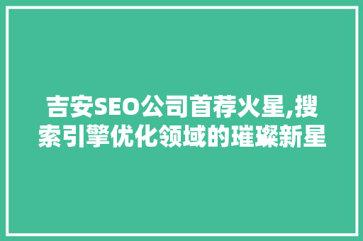 吉安SEO公司首荐火星,搜索引擎优化领域的璀璨新星