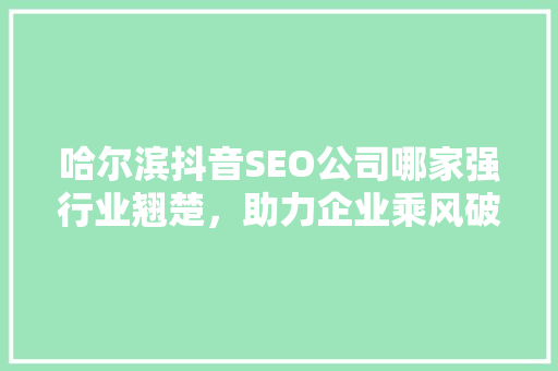 哈尔滨抖音SEO公司哪家强行业翘楚，助力企业乘风破浪