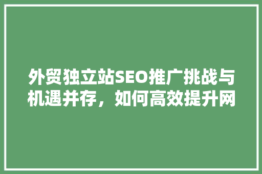 外贸独立站SEO推广挑战与机遇并存，如何高效提升网站排名