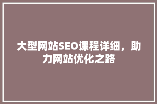 大型网站SEO课程详细，助力网站优化之路