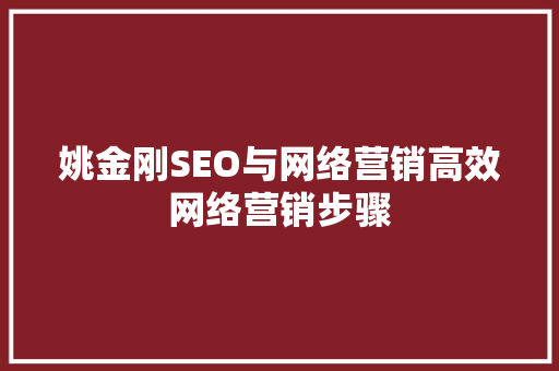 姚金刚SEO与网络营销高效网络营销步骤