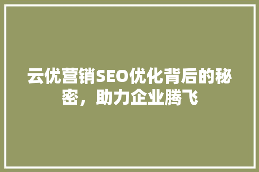 云优营销SEO优化背后的秘密，助力企业腾飞