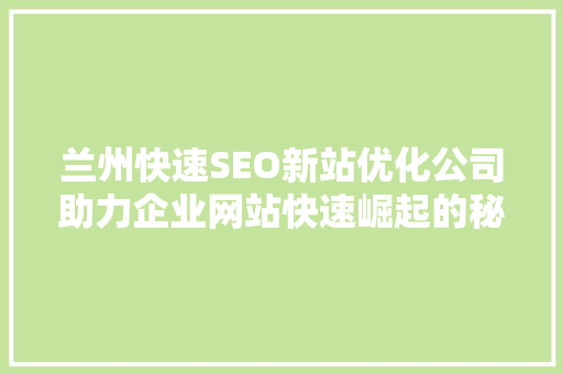 兰州快速SEO新站优化公司助力企业网站快速崛起的秘密武器