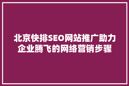 北京快排SEO网站推广助力企业腾飞的网络营销步骤