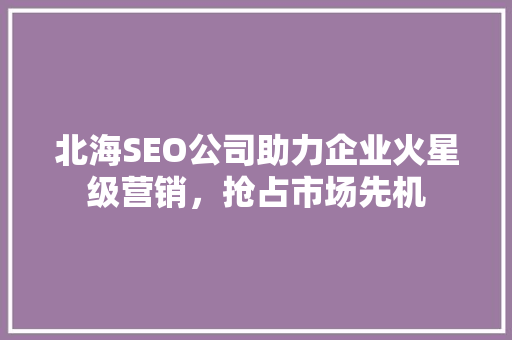 北海SEO公司助力企业火星级营销，抢占市场先机