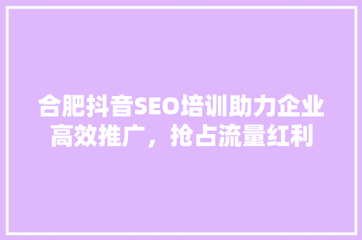 合肥抖音SEO培训助力企业高效推广，抢占流量红利