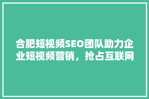 合肥短视频SEO团队助力企业短视频营销，抢占互联网蓝海