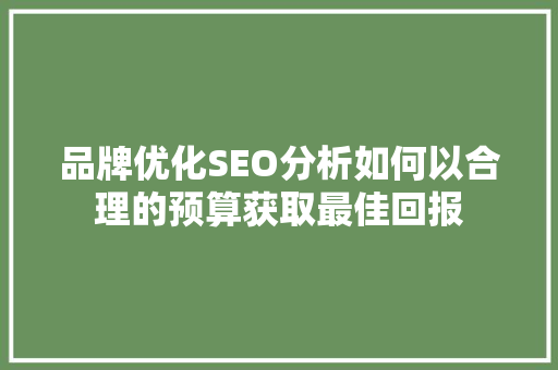 品牌优化SEO分析如何以合理的预算获取最佳回报