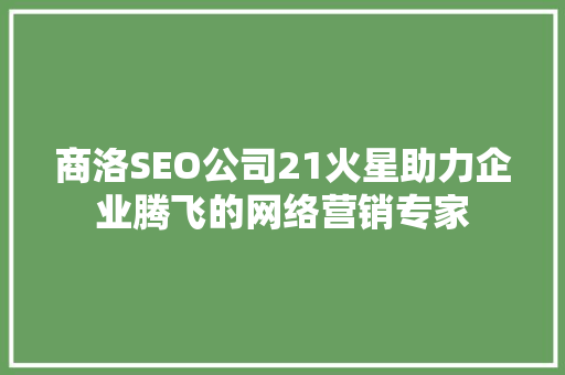 商洛SEO公司21火星助力企业腾飞的网络营销专家