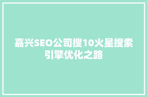 嘉兴SEO公司搜10火星搜索引擎优化之路