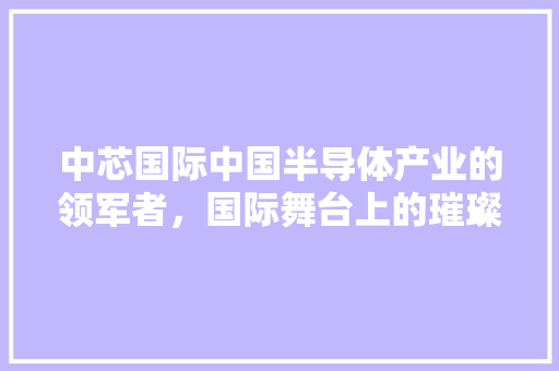 中芯国际中国半导体产业的领军者，国际舞台上的璀璨明珠