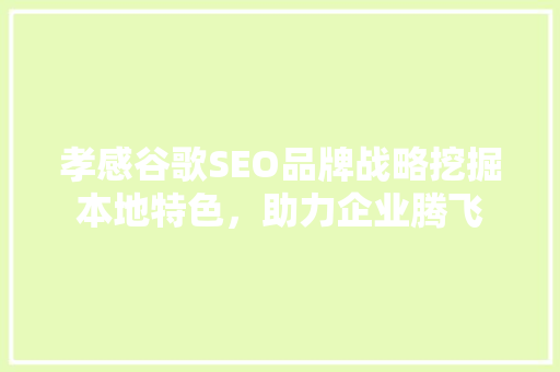 孝感谷歌SEO品牌战略挖掘本地特色，助力企业腾飞