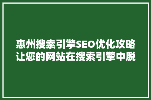 惠州搜索引擎SEO优化攻略让您的网站在搜索引擎中脱颖而出