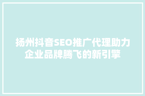 扬州抖音SEO推广代理助力企业品牌腾飞的新引擎