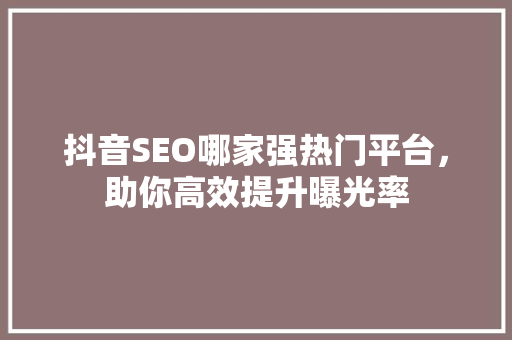 抖音SEO哪家强热门平台，助你高效提升曝光率  第1张