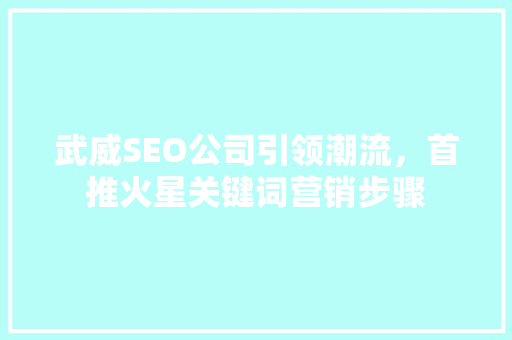 武威SEO公司引领潮流，首推火星关键词营销步骤